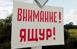 ящур