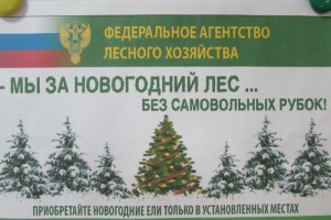 лес